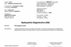 Résultats de dépistage de la myélopathie dégénérative de Mayka